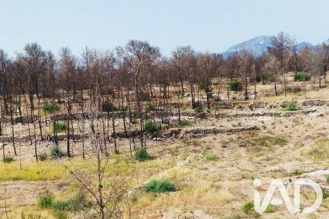 Propiedad comercial en venta en Xerta, Tarragona, España No. 187619 - foto 16