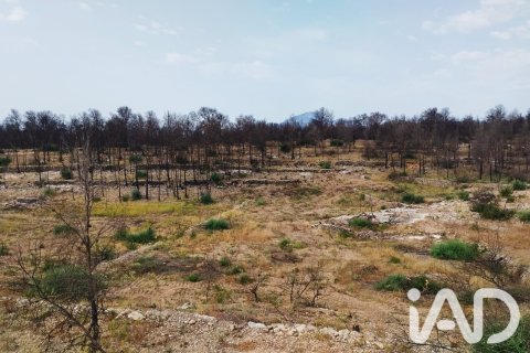 Propiedad comercial en venta en Xerta, Tarragona, España No. 187619 - foto 6