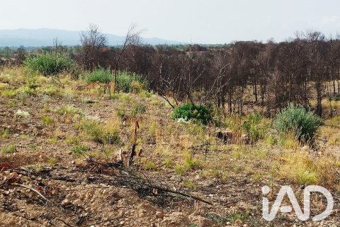 Propiedad comercial en venta en Xerta, Tarragona, España No. 187619 - foto 14