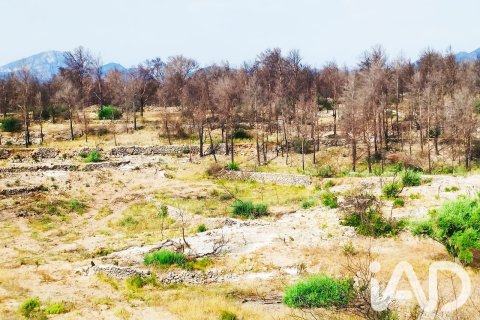 Propiedad comercial en venta en Xerta, Tarragona, España No. 187619 - foto 15