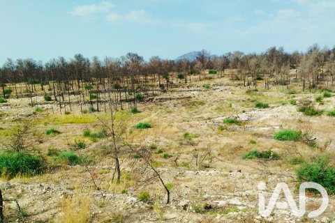 Propiedad comercial en venta en Xerta, Tarragona, España No. 187619 - foto 17