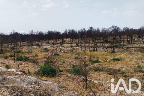 Propiedad comercial en venta en Xerta, Tarragona, España No. 187619 - foto 10