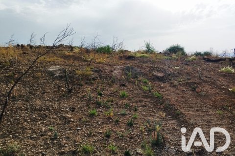 Propiedad comercial en venta en Xerta, Tarragona, España No. 187619 - foto 11