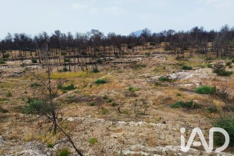Propiedad comercial en venta en Xerta, Tarragona, España No. 187619 - foto 9