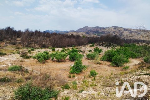 Propiedad comercial en venta en Xerta, Tarragona, España No. 187619 - foto 5