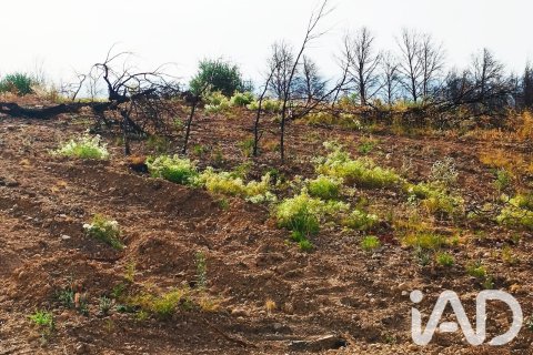 Propiedad comercial en venta en Xerta, Tarragona, España No. 187619 - foto 18