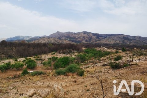 Propiedad comercial en venta en Xerta, Tarragona, España No. 187619 - foto 4
