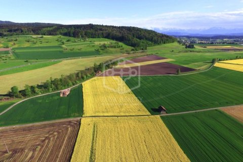 Lokal usługowy w Caceres, Hiszpania nr 147226 – zdjęcie 1