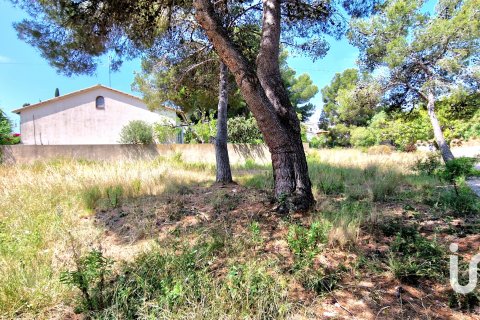 Продажа земельного участка в Рода де Бера, Таррагона, Испания 2231.51м2 №153396 - фото 12