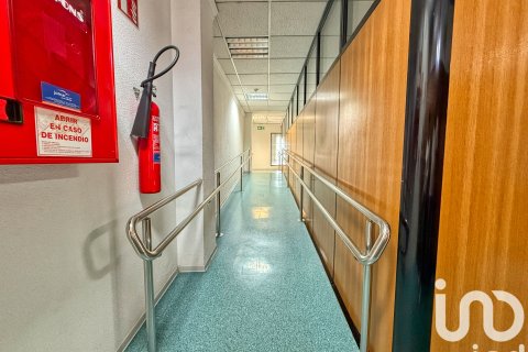 Продажа коммерческой недвижимости в Кастельон-де-ла-Плана, Кастельон, Испания 8738м2 №153395 - фото 8