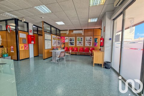 Продажа коммерческой недвижимости в Кастельон-де-ла-Плана, Кастельон, Испания 8738м2 №153395 - фото 25