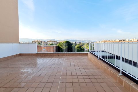 Penthäuser zur Miete in Palma de Majorca, Mallorca, Spanien 3 Schlafzimmer, 100 m2 Nr. 147012 - Foto 2