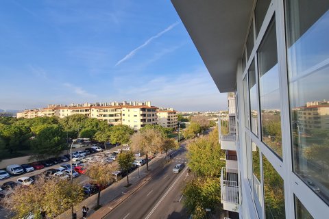 Penthäuser zur Miete in Palma de Majorca, Mallorca, Spanien 3 Schlafzimmer, 100 m2 Nr. 147012 - Foto 17