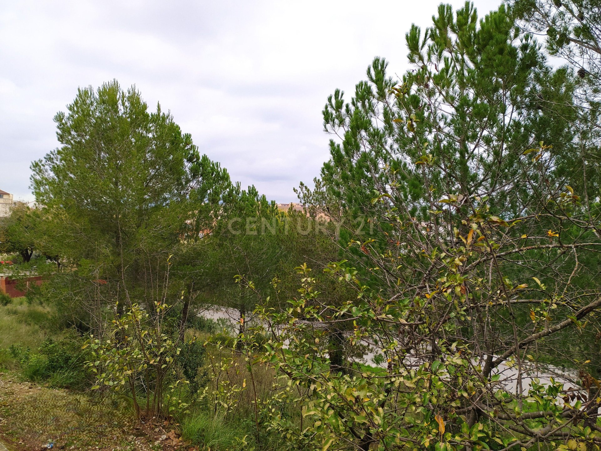 Land plot à Sant Llorenc D'hortons, Barcelona, Espagne No. 186444