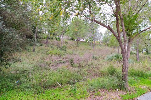Land plot for sale in Sant Llorenc D'hortons, Barcelona, Spain No. 186444 - photo 28