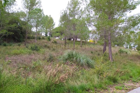 Land plot for sale in Sant Llorenc D'hortons, Barcelona, Spain No. 186444 - photo 27