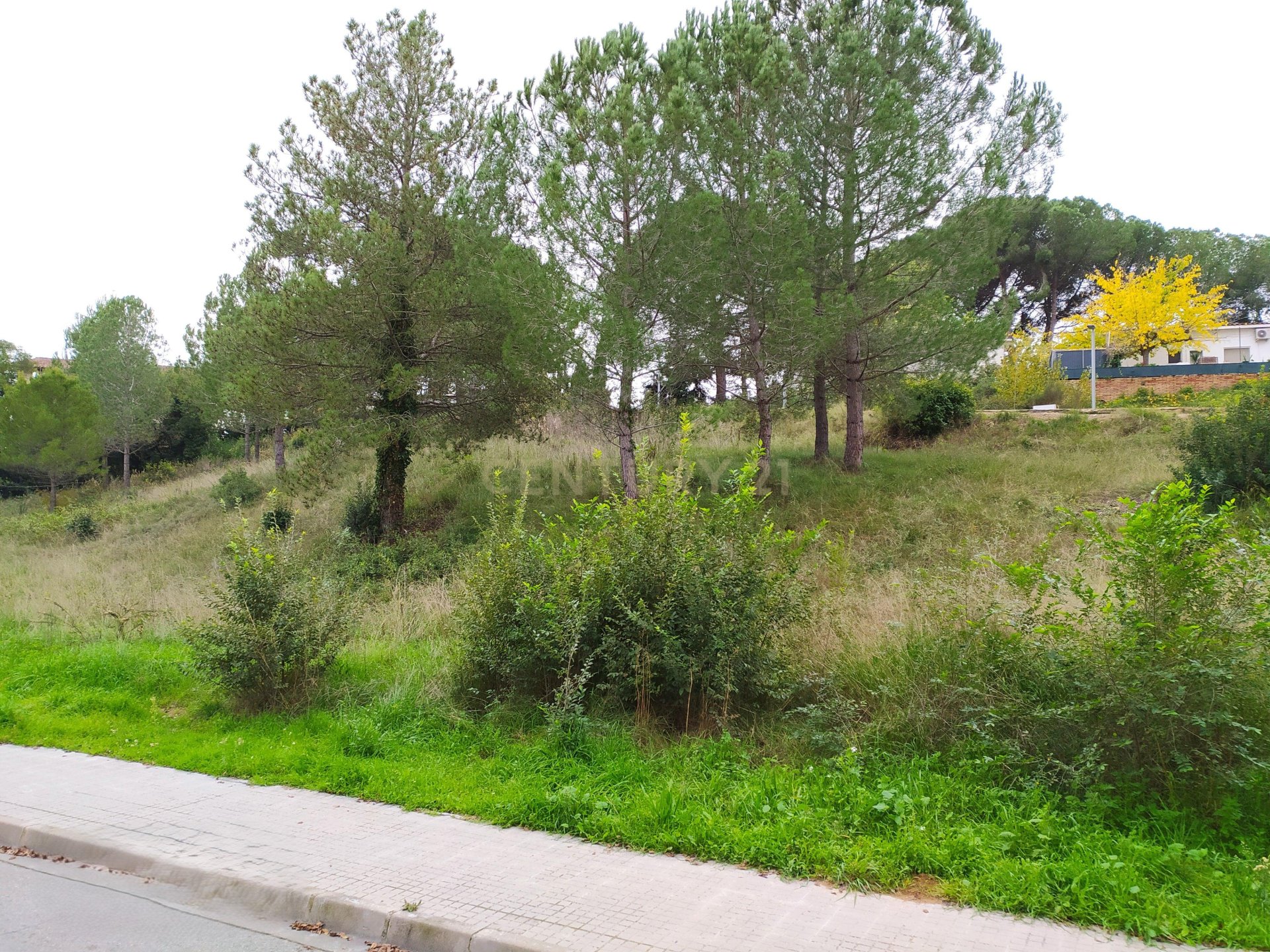 Land plot à Sant Llorenc D'hortons, Barcelona, Espagne No. 186444