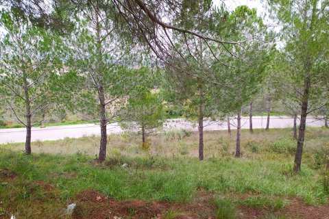 Land plot for sale in Sant Llorenc D'hortons, Barcelona, Spain No. 186444 - photo 4