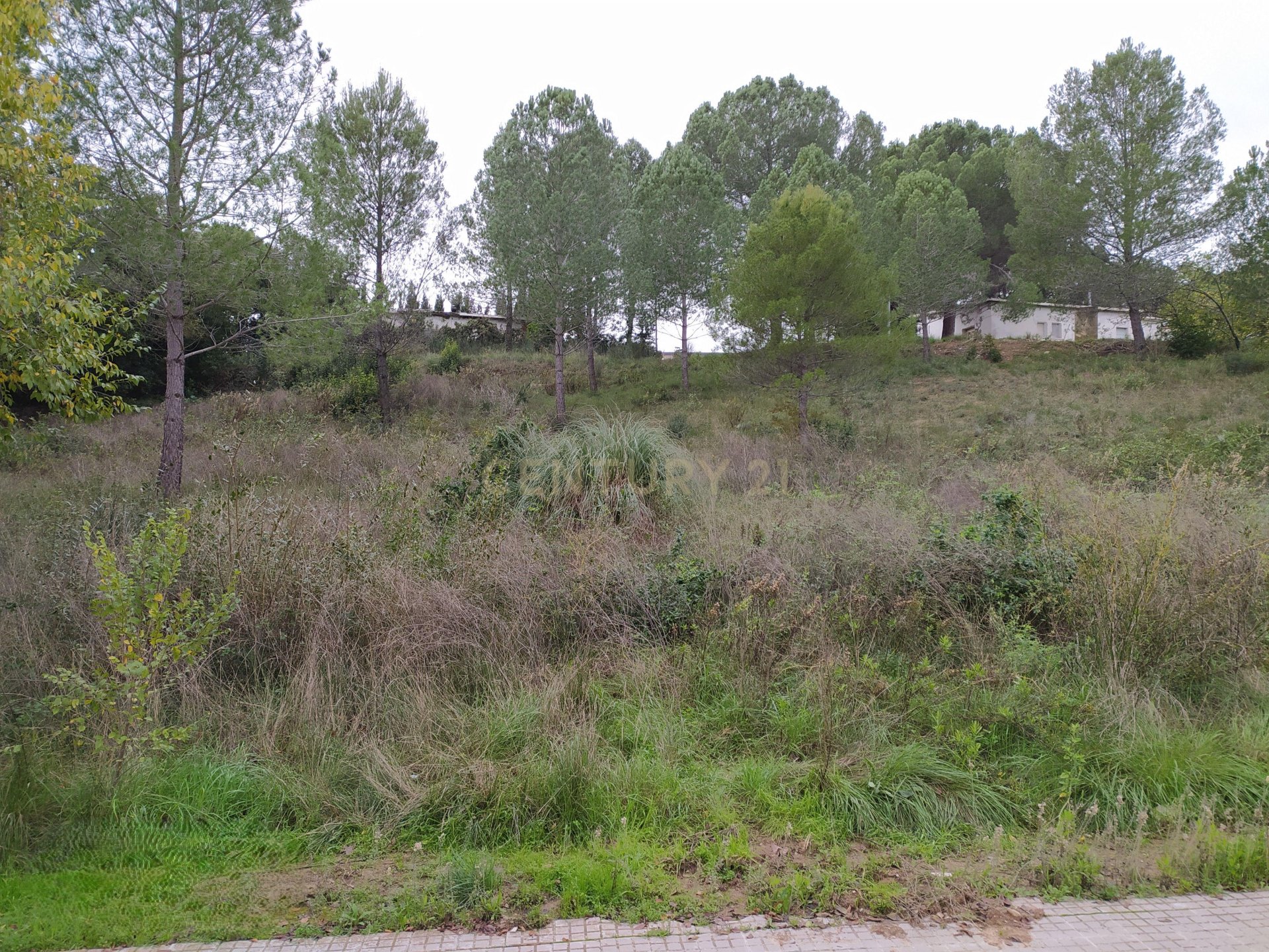 Land plot à Sant Llorenc D'hortons, Barcelona, Espagne No. 186444