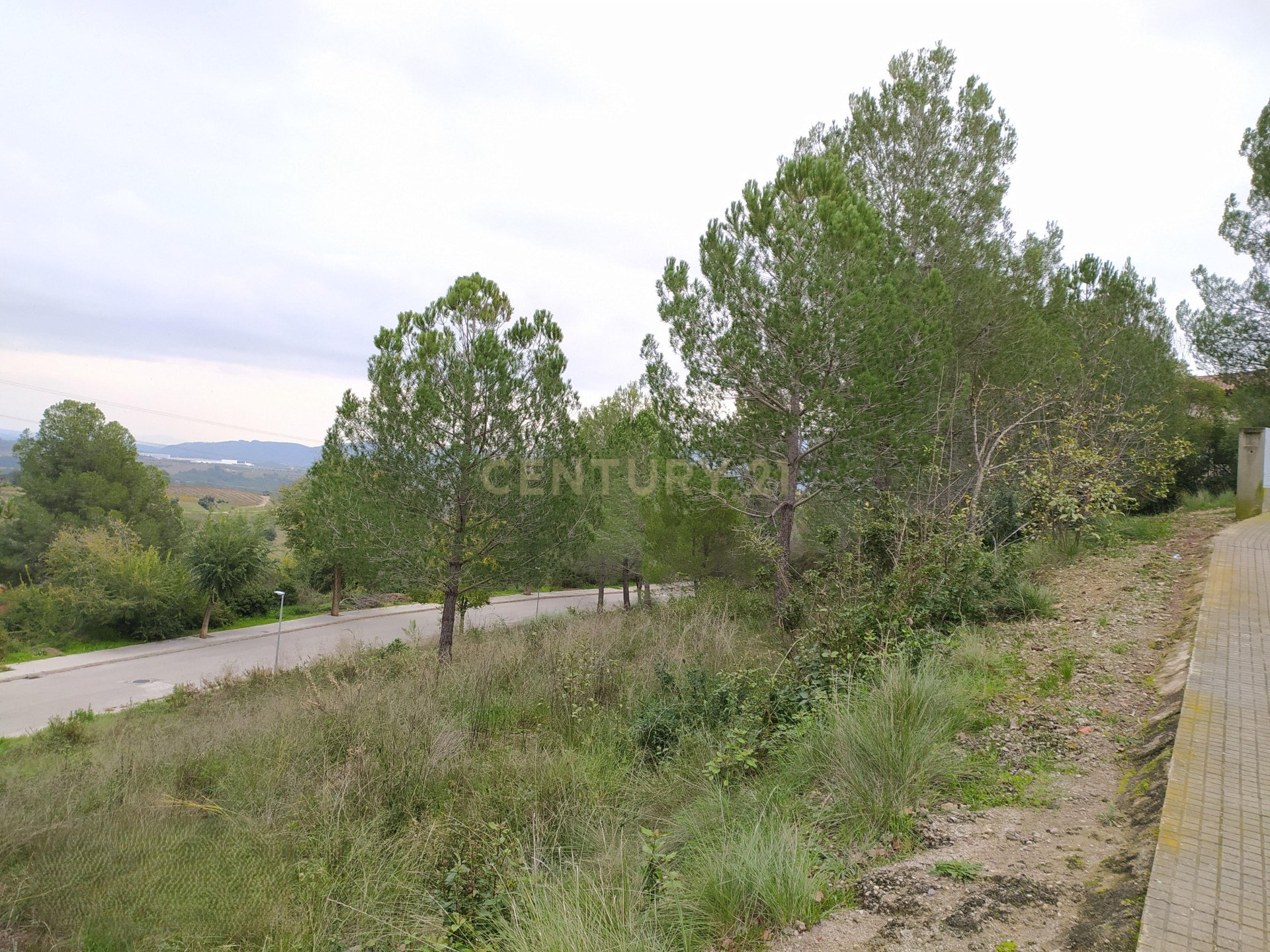 Land plot à Sant Llorenc D'hortons, Barcelona, Espagne No. 186444
