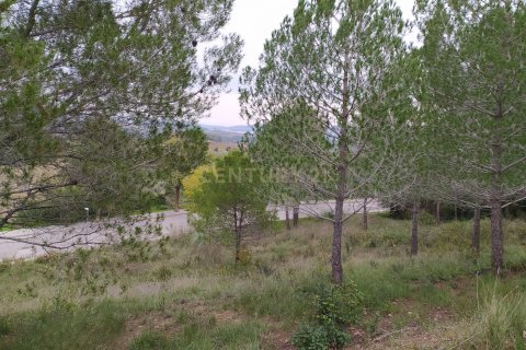Land plot for sale in Sant Llorenc D'hortons, Barcelona, Spain No. 186444 - photo 14