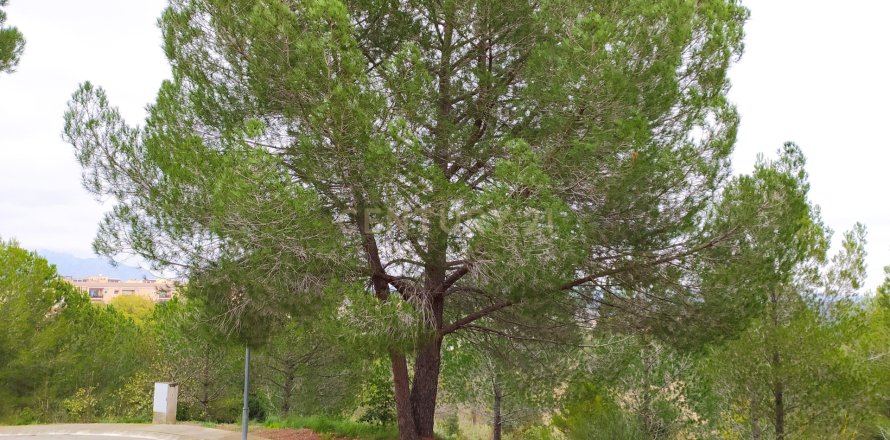 Land plot in Sant Llorenc D'hortons, Barcelona, Spain No. 186444