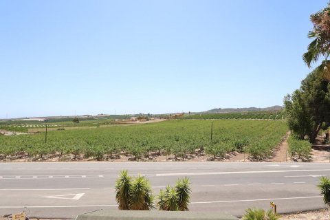 Commercial property for sale San Miguel de Salinas, Alicante, Spain 6 bedrooms, 200 sq.m. No. 114479 - photo 17
