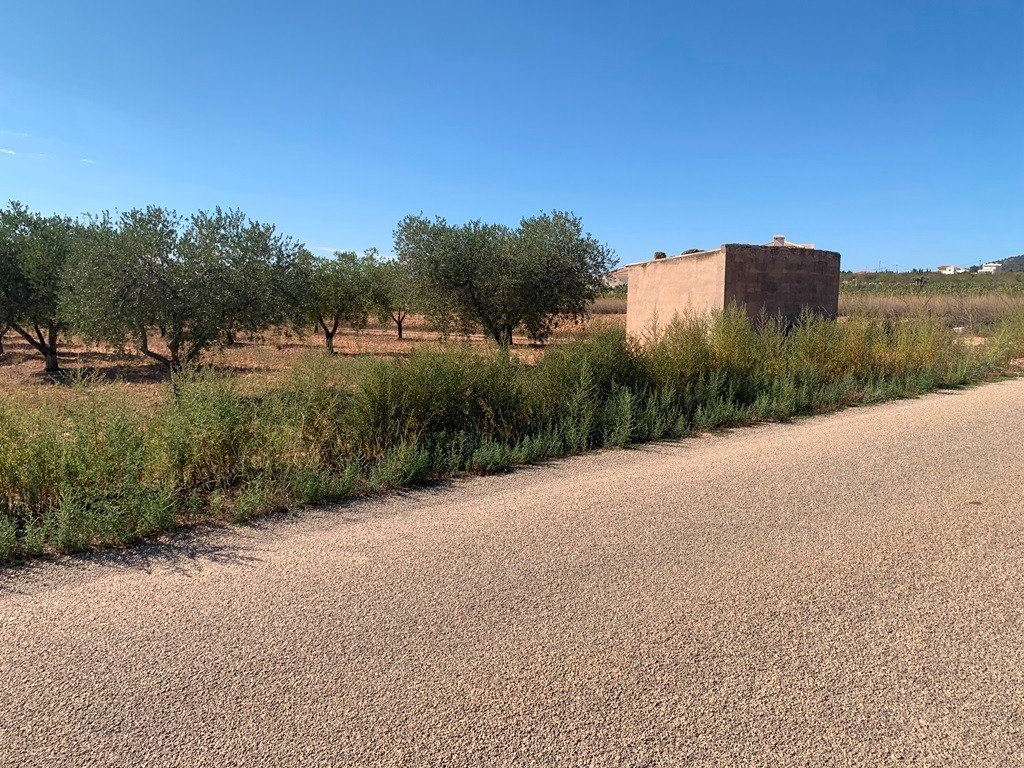Villa a Pinoso, Alicante, Spagna 4 camere da letto, 210 mq. N° 114364