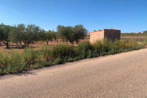 Villa pārdošanā Pinoso, Alicante, Spānijā 4 istabas, 210 m2 Nr. 114364 - attēls 16