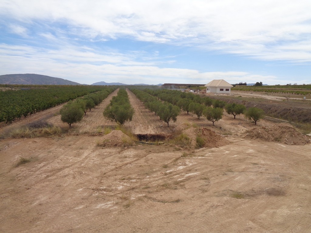 Villa a Pinoso, Alicante, Spagna 4 camere da letto, 210 mq. N° 114364