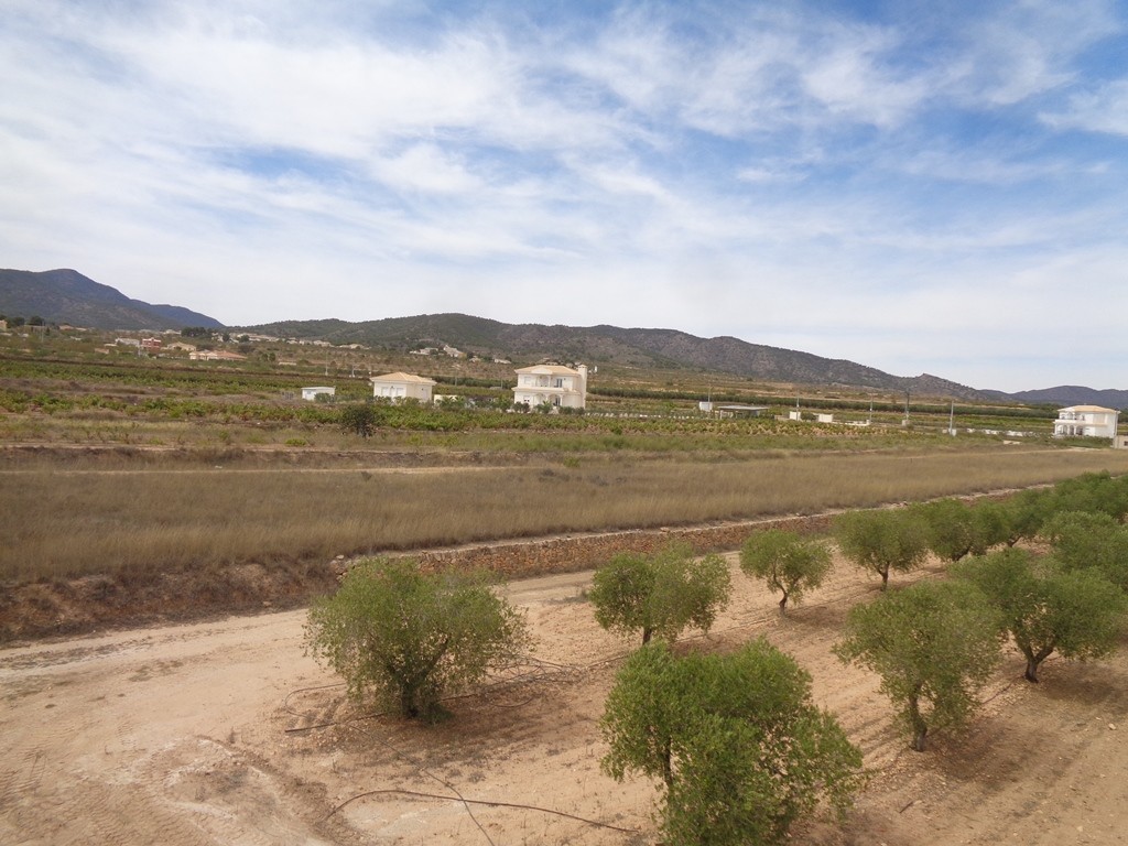 Villa a Pinoso, Alicante, Spagna 4 camere da letto, 210 mq. N° 114364