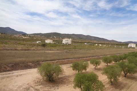 Villa pārdošanā Pinoso, Alicante, Spānijā 4 istabas, 210 m2 Nr. 114364 - attēls 17