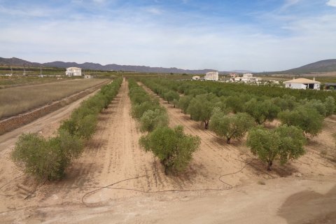 Villa pārdošanā Pinoso, Alicante, Spānijā 4 istabas, 210 m2 Nr. 114364 - attēls 18