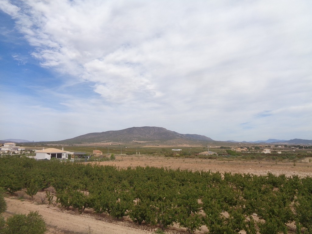 Villa a Pinoso, Alicante, Spagna 4 camere da letto, 210 mq. N° 114364