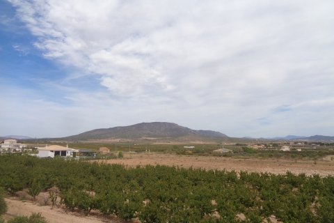 Villa pārdošanā Pinoso, Alicante, Spānijā 4 istabas, 210 m2 Nr. 114364 - attēls 19