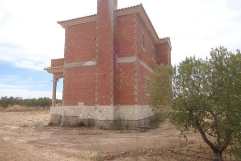Villa pārdošanā Pinoso, Alicante, Spānijā 4 istabas, 210 m2 Nr. 114364 - attēls 8