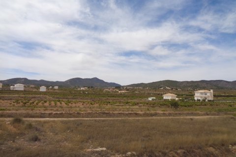 Villa pārdošanā Pinoso, Alicante, Spānijā 4 istabas, 210 m2 Nr. 114364 - attēls 15