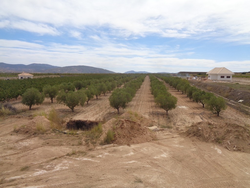 Villa a Pinoso, Alicante, Spagna 4 camere da letto, 210 mq. N° 114364