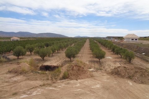 Villa pārdošanā Pinoso, Alicante, Spānijā 4 istabas, 210 m2 Nr. 114364 - attēls 10