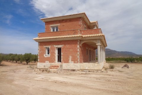 Villa pārdošanā Pinoso, Alicante, Spānijā 4 istabas, 210 m2 Nr. 114364 - attēls 6