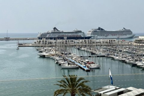 Apartament w Alicante, Hiszpania 4 sypialnie, 200 mkw. nr 165618 – zdjęcie 2