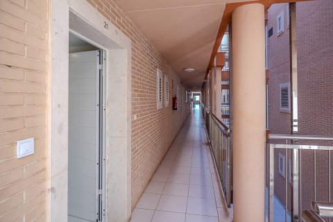 Apartament w Canet d'En Berenguer, Valencia, Hiszpania 2 sypialnie, 57 mkw. nr 149519 – zdjęcie 3