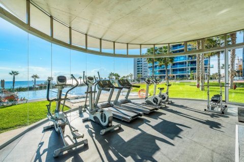 Продажа квартиры в Пунта Прима, Аликанте, Испания 2 спальни, 61м2 №146182 - фото 26