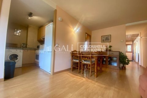 Huoneisto vuokrattavana Principado De Andorra (Ninguna Poblacion Tiene C.P.), Lleida, Espanja, 2 makuuhuonetta, 75 m2 No. 156707 - kuva 14