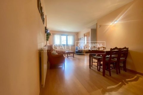 Huoneisto vuokrattavana Principado De Andorra (Ninguna Poblacion Tiene C.P.), Lleida, Espanja, 2 makuuhuonetta, 75 m2 No. 156707 - kuva 15