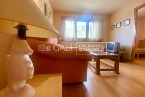 Huoneisto vuokrattavana Principado De Andorra (Ninguna Poblacion Tiene C.P.), Lleida, Espanja, 2 makuuhuonetta, 75 m2 No. 156707 - kuva 6