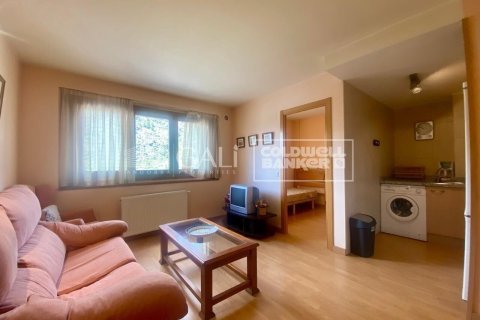Huoneisto vuokrattavana Principado De Andorra (Ninguna Poblacion Tiene C.P.), Lleida, Espanja, 2 makuuhuonetta, 75 m2 No. 156707 - kuva 5