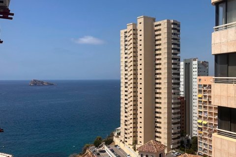 Appartamento in vendita a Benidorm, Alicante, Spagna 1 camera da letto, 35 mq. N° 193474 - foto 12