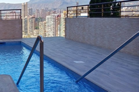 Appartamento a Benidorm, Alicante, Spagna 1 camera da letto, 35 mq. N° 193474