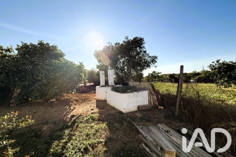 Land plot for sale in Chiclana de la Frontera, Cadiz, Spain 3928 sq.m. No. 193476 - photo 4